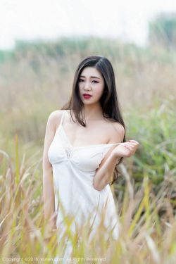 一路向西2之泰西下载